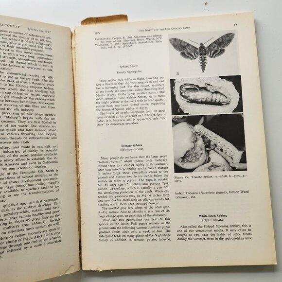 The Insects of the Los Angeles Basin Vintage Book by Charles L. Hogue 19… - Picture 6 of 16